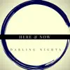 Darling Nights - Here & Now - Single